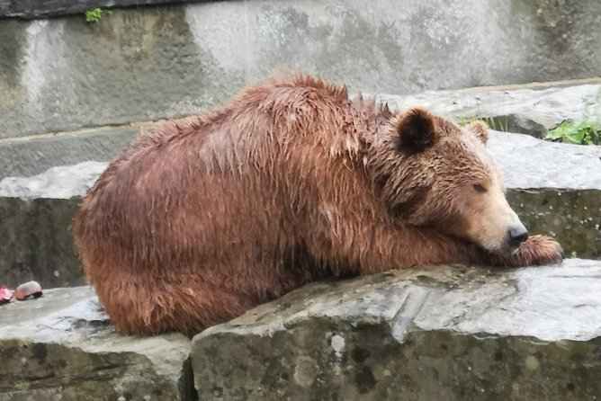 Cheese, Chocolate and Wine in the Bern Region from Luzern - Gruyères village: medieval streets, cow views, and HR Giger’s connection