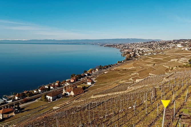 Cheese, Chocolate and Wine in the Bern Region from Luzern - Price and what you’re really paying for