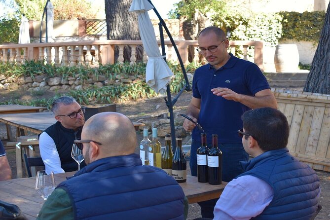 Cheese Factory Workshop with Wine Tasting in Requena, Valencia - Timing, transport, and group size you can actually plan around
