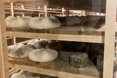 Cheese Factory Workshop with Wine Tasting in Requena, Valencia - The caves and the goat-cheese process: where aging becomes real