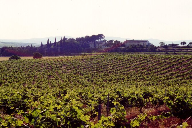 Cheese Factory Workshop with Wine Tasting in Requena, Valencia - Price and value: does $114.70 pay off?