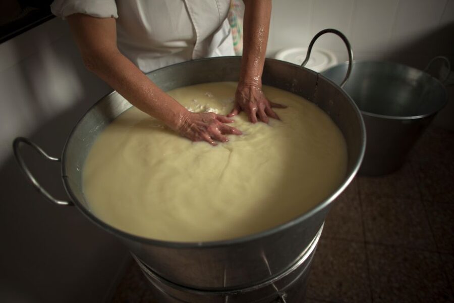 Cheese Making and Tasting Tour from Cagliari with Lunch - From Cagliari Pickup to Su Sorgiali: A Day Trip That Feels Like Food Country
