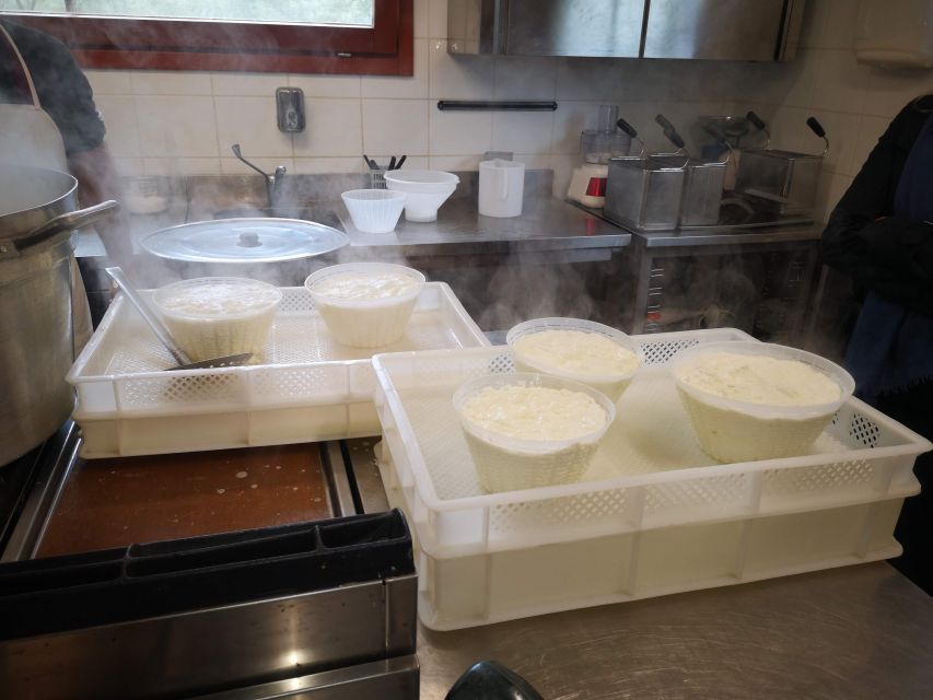 Cheese Making and Tasting Tour from Cagliari with Lunch - Su Sorgiali Farm Walk: Pigs, Horses, Grain, Vines, and a Few Friendly Surprises