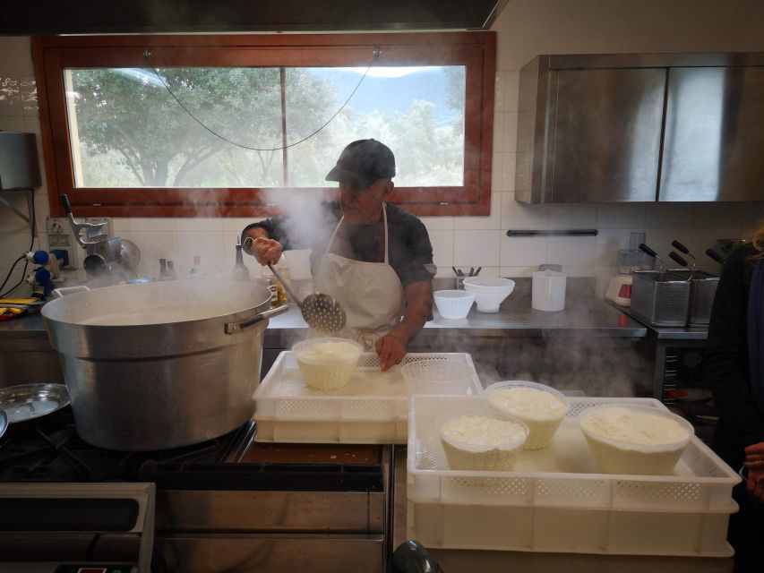 Cheese Making and Tasting Tour from Cagliari with Lunch - Lunch at the Farm: Tagliere, Grain-Based First Course, and Vineyard Wine