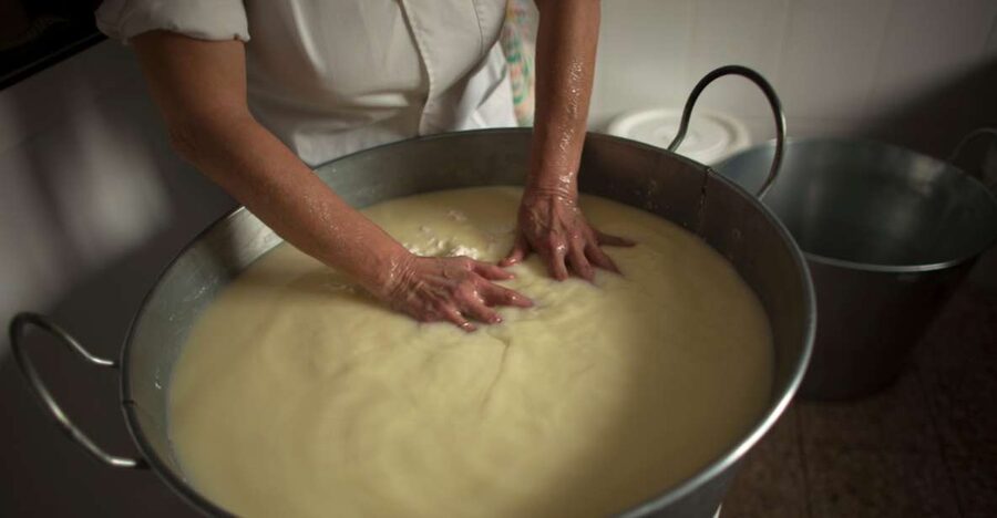 Cheese Making and Tasting Tour from Cagliari with Lunch - FAQ