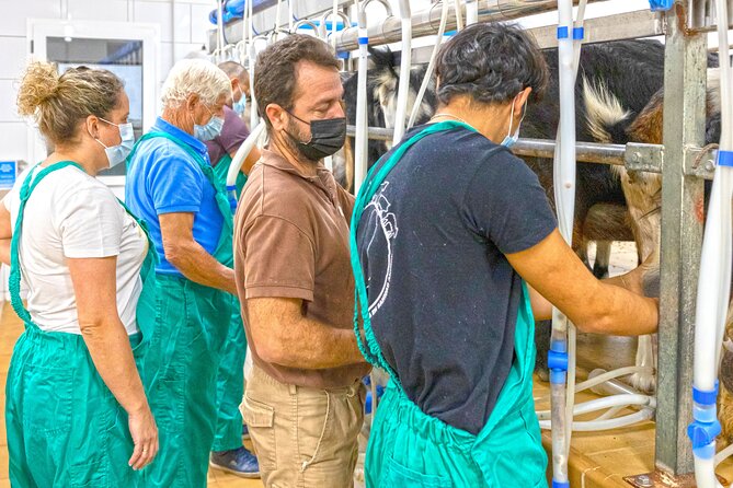 Cheese Making Workshop in Fuerteventura with Breakfast - Turning milk into your cheese: moulds, press, and vacuum packing