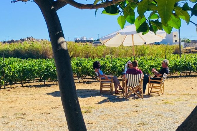 Cheese & Wine Trails - Naxos - Feeding animals and getting your hands dirty (in a good way)