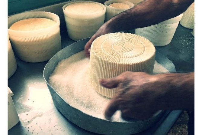 Cheese & Wine Trails - Naxos - Visiting the vineyard: local varieties and traditional methods