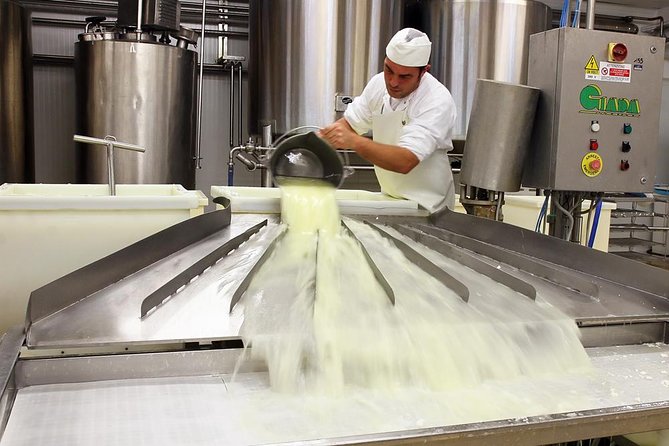 Cheesemaker for a day & visit to the dairy - From milk analysis to brine tanks: the Sardinian pecorino and caprini flow