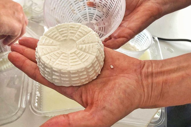 Cheesemaker for a day & visit to the dairy - Should you book Cheesemaker for a day & visit the dairy?