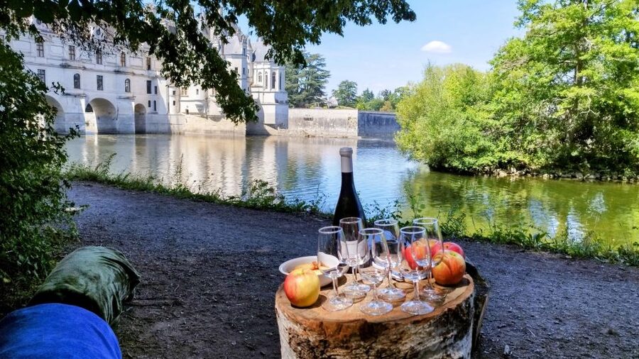 Chenonceau: guided ebike ride and wine & cheese picnic lunch - Key highlights you’ll care about