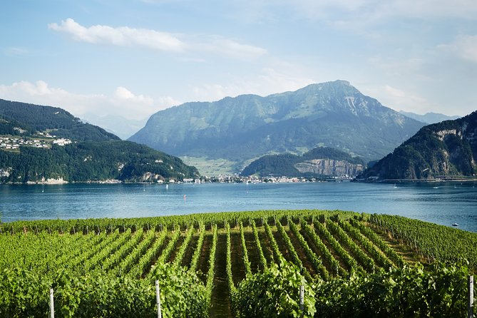 Chocolate, Cheese and Wine Tour in Luzern region - What’s Included vs. What You Should Budget For