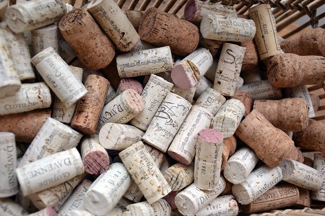 Clotilde Davenne wine and cheese pairing tasting in Chablis - English commentary and who this fits best