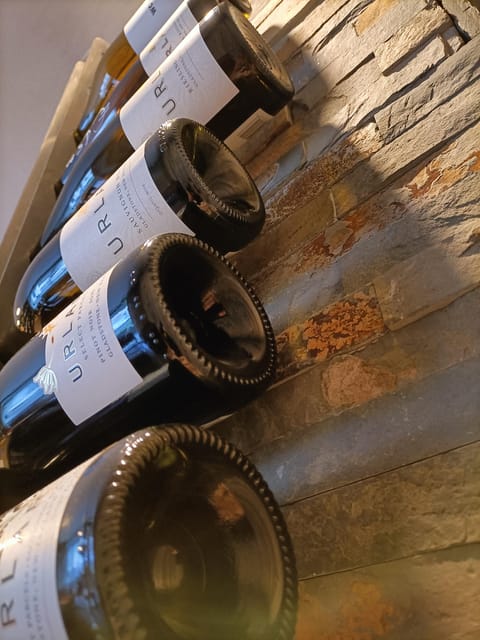 Como: Wine Tasting Experience with Cheese and Cold Cuts - Private top tasting: when exclusive use of the shop matters