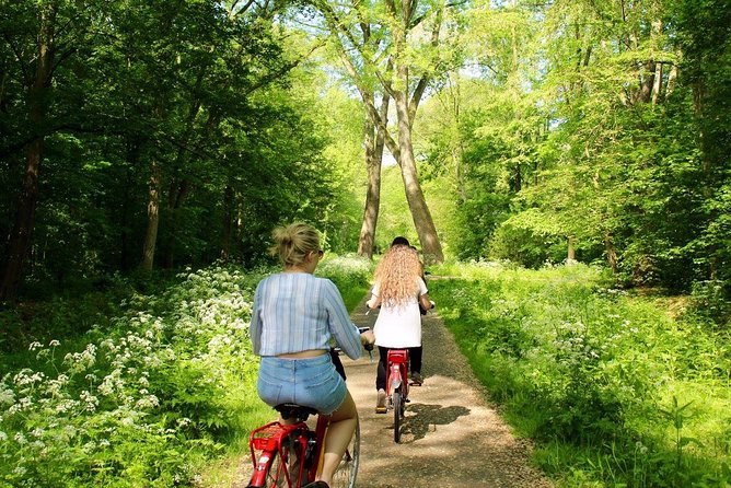Countryside Fishermen Villages & Cheese E-bike Tour - Stop 1: Muziekgebouw aan ‘t IJ for an IJ River View Reset
