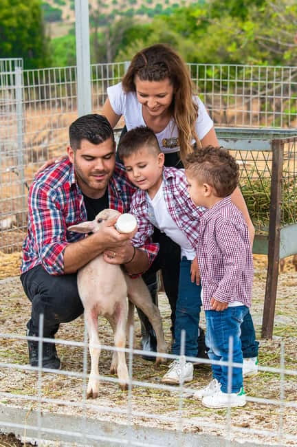 Crete: Farm Visit with Cheese Tasting and Milking Experience - Key highlights you’ll care about