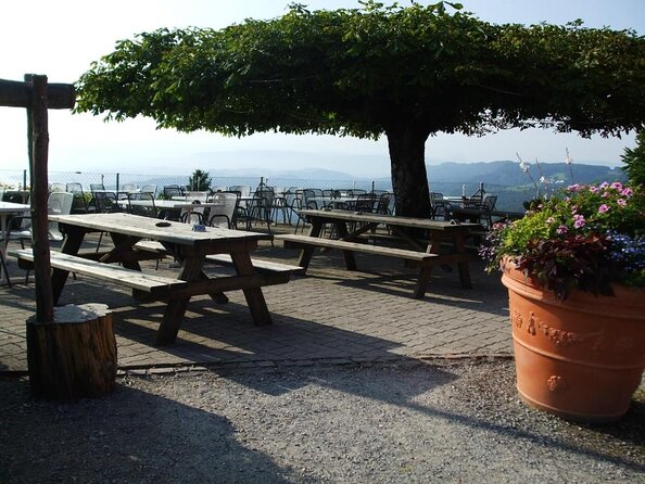 Culinary Tour from Zurich with Traditional Swiss Cheese Fondue Dinner - From Sihlquai to mountain-top fondue: how the timing works