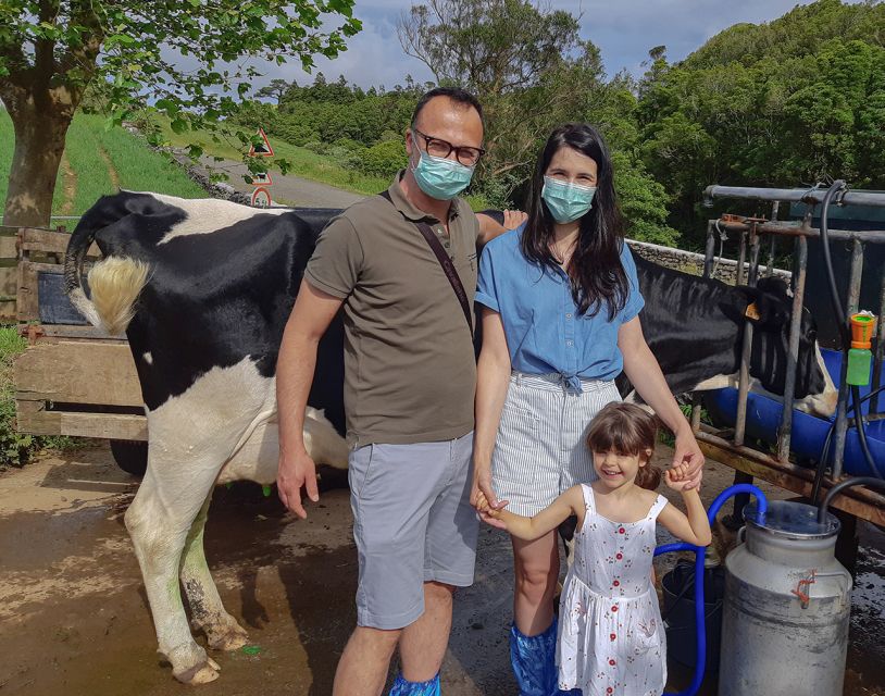 Dairy farm Visit and Cow Milking Experience in Azores - Organic milk 101: conversion and daily work explained in plain language