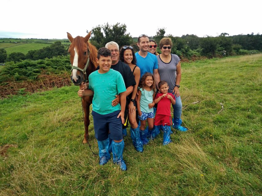Dairy farm Visit and Cow Milking Experience in Azores - Pasture walks and animal time without the rush