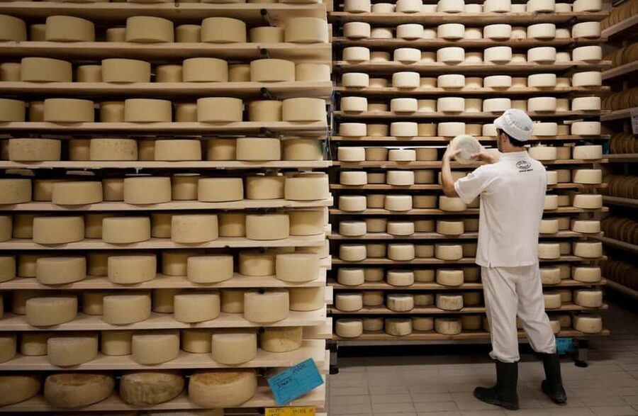 Dairy Tour with Cheese Tasting & Prosecco near Treviso - Cheese Tasting with Prosecco Superiore: What You’ll Sample and How Pairing Works