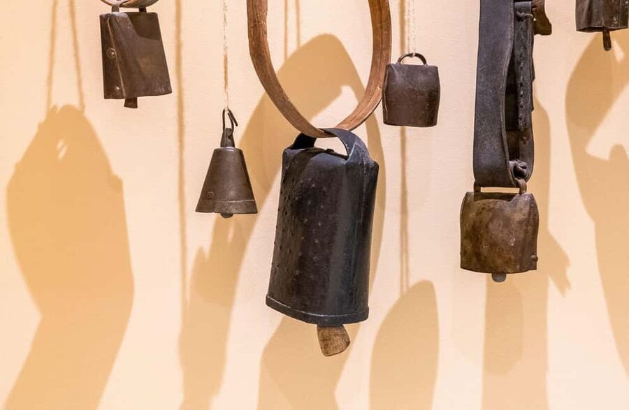 Dairy Tour with Cheese Tasting & Prosecco near Treviso - Practical Tips for a Smooth Visit (Especially If You’re Short on Time)