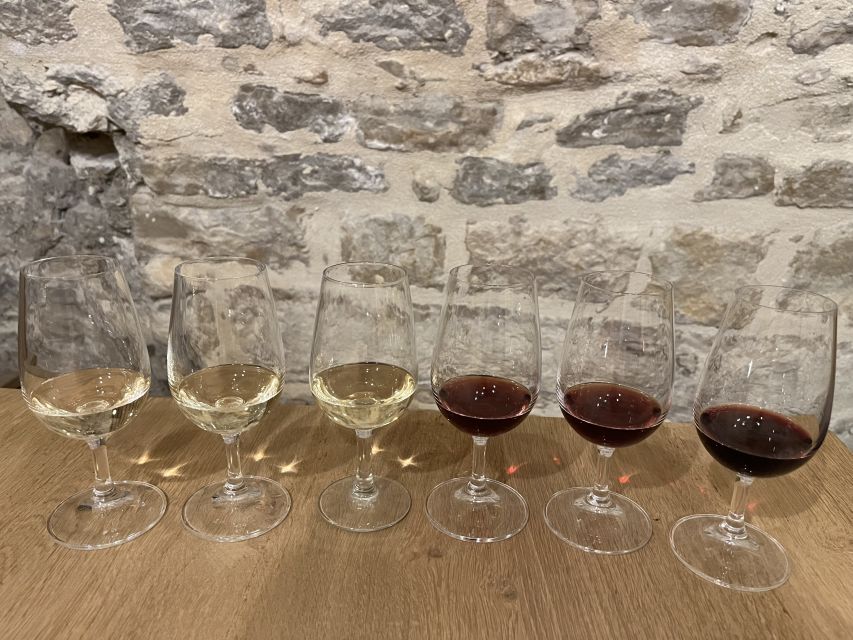 Dijon: Cheese and Burgundy Wine Tasting Workshop - Cheese and Wine Pairing: What You’ll Learn (That Actually Helps)