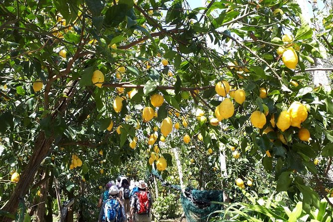 DISCOVER SORRENTO, food &Walking tour . Lemons-cheese&olive oil - The Big Finish: Bruschetta, Salami, Olives, and Wine