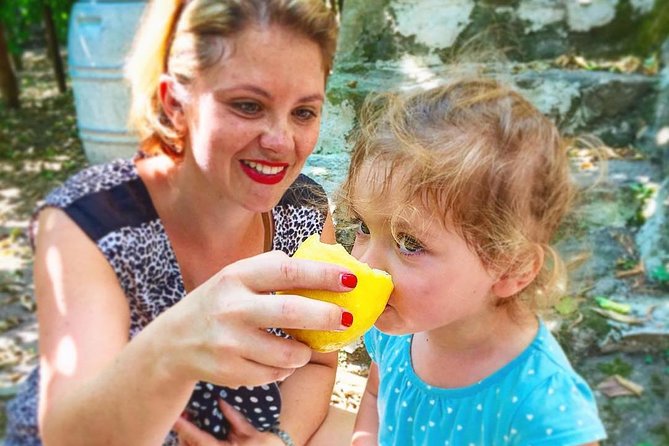 Discover Sorrento with food tasting and walking Tour - Sorrento’s lemon-and-food story starts with a walk you can handle