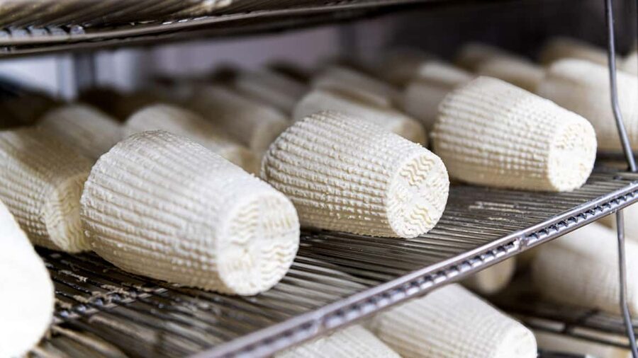 Dolianova: visit and workshop in a cheese factory - Key Highlights You’ll Care About