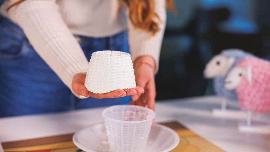 Dolianova: visit and workshop in a cheese factory - Workshop Time: How You Make Cheese (and What You Can Bring Home)
