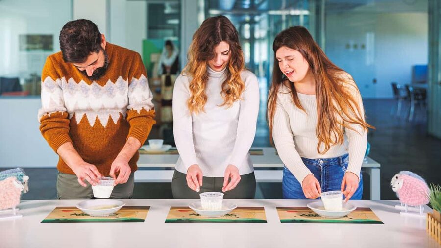 Dolianova: visit and workshop in a cheese factory - Price and Value: Is $84 a Good Deal for This 2.5-Hour Plan?