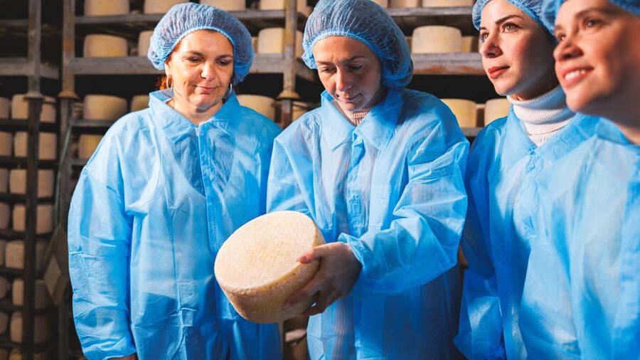 Dolianova: visit and workshop in a cheese factory - Should You Book the Dolianova Cheese Factory Visit and Workshop?