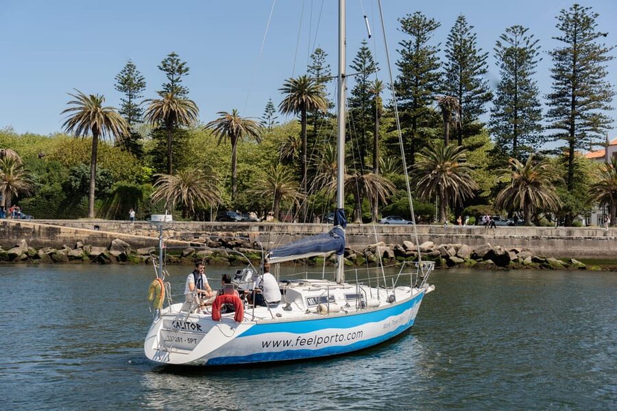 Douro River Cruise with Cheese & Tonic Porto in a Sailboat - Arrábida Bridge and Jardins do Palácio de Cristal: Views With City Context