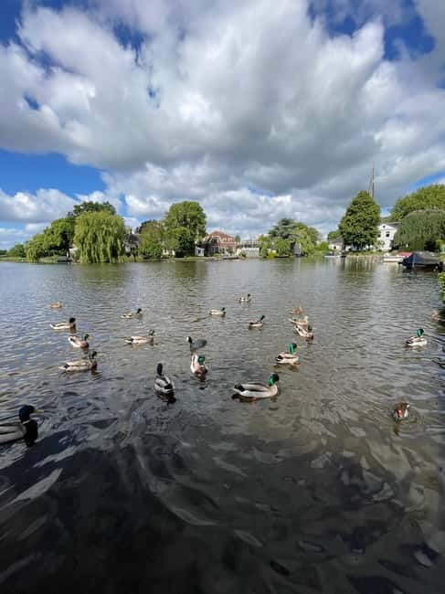 Dutch Countryside: , windmills, Villages, Cheese & Clogs - The Guide Makes the Day Feel Personal (Moses)