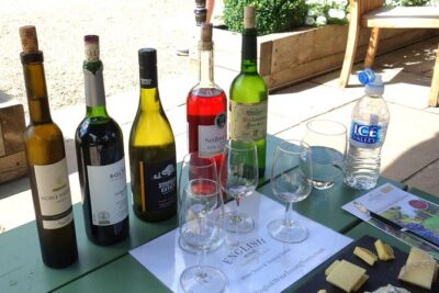 English Wine and Cheese Tour from London - Wayfarer Wines: Guided Tasting With a Small Producer Feel