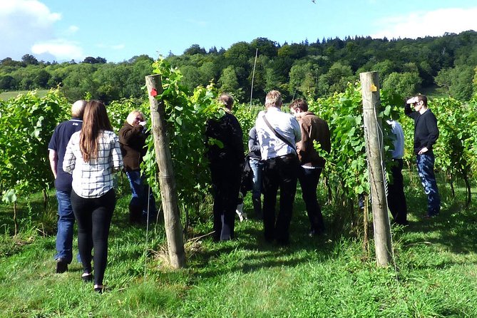 English Wine and Cheese Tour from London - Practical Tips for a Smooth Day in Kent