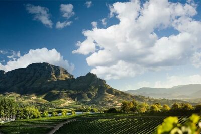 Experience 16 Wine Tasting & 6 Cheese Pairing across 3 Vineyards - Lanzerac Wine Estate: Pinotage, Chardonnay, and Estate Time to Breathe
