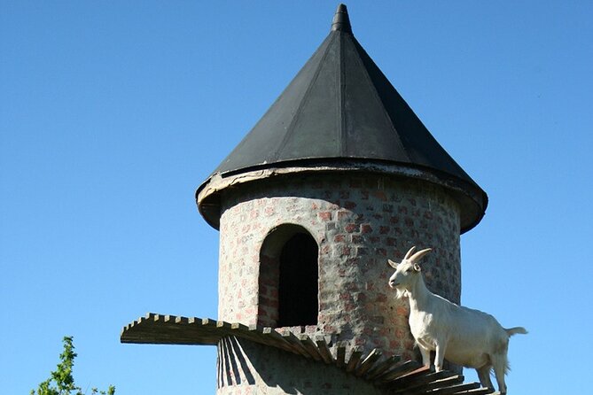 Experience 16 Wine Tasting & 6 Cheese Pairing across 3 Vineyards - How the 9:00 am Start and Private Transport Actually Help
