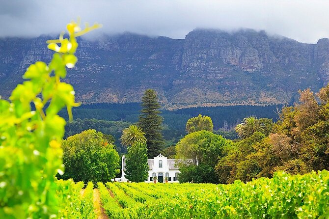 Experience 16 Wine Tasting & 6 Cheese Pairing across 3 Vineyards - Price and Value: What You’re Actually Paying For