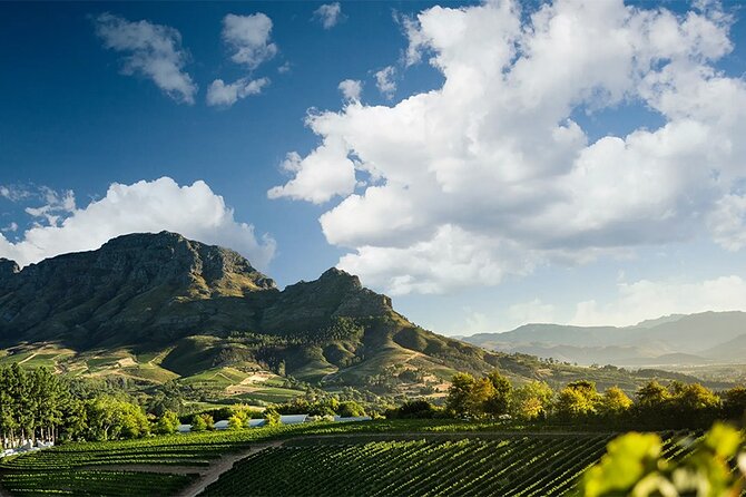 Experience 16 Wine Tasting & 6 Cheese Pairing across 3 Vineyards - Lanzerac Wine Estate: Pinotage, Chardonnay, and Estate Time to Breathe