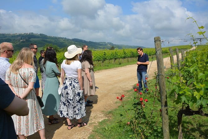 Experience Chianti & Cheese w/ 3 wineries & dairy visit—max 8 pp - Three winery tastings: what you actually learn