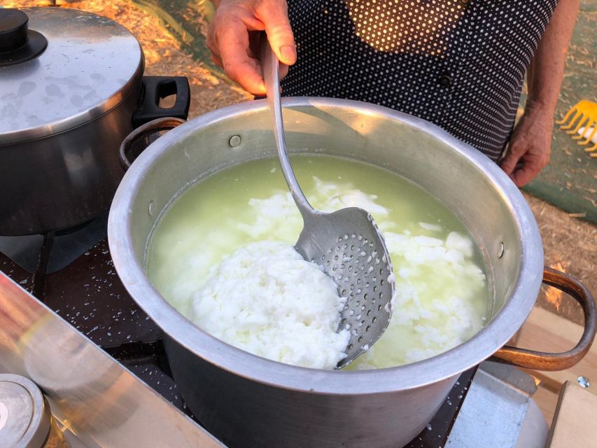 Farm Tour with Cheese-Making, Olive Oil Tasting & Picnic - The olive grove walk: cultivation, harvesting, and sustainable farming basics