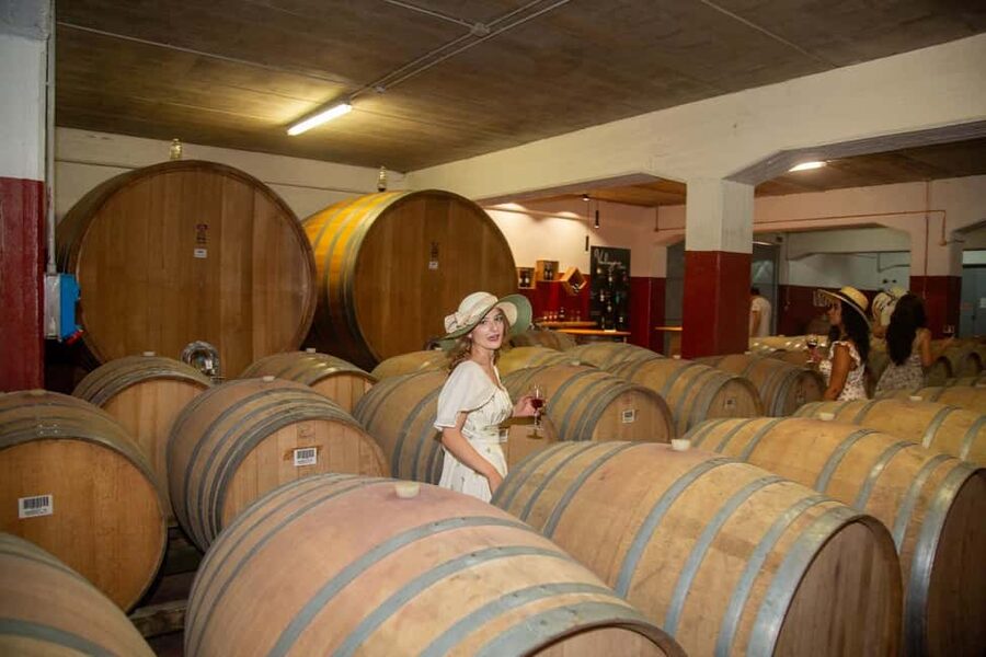 Florence: The secret of wine, cheese and olive oil at a farm - Key highlights I’d circle first
