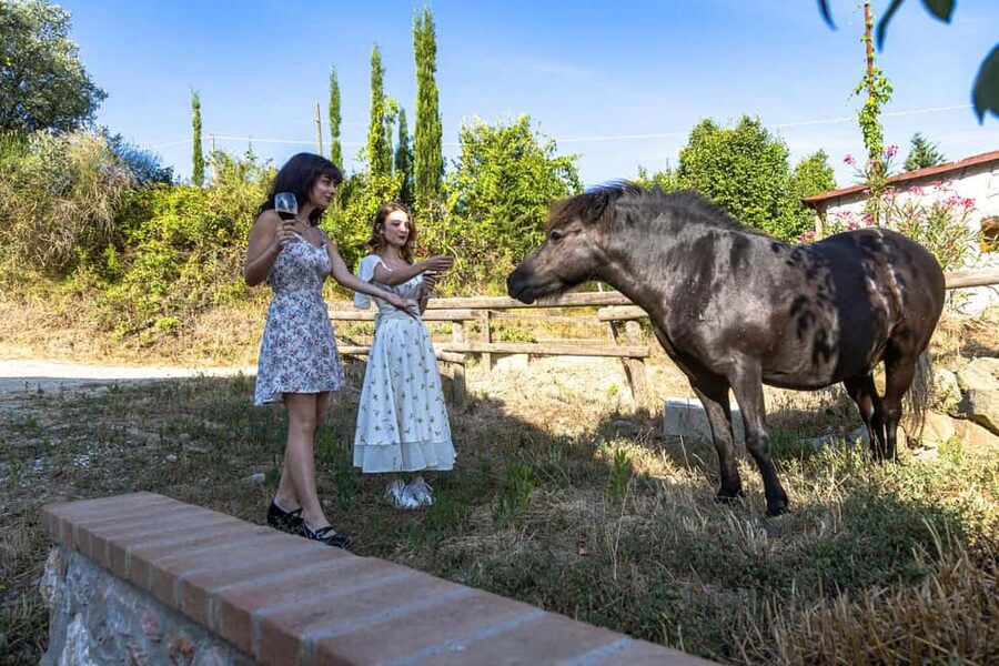 Florence: The secret of wine, cheese and olive oil at a farm - From Florence to Chianti: the ride that sets the mood