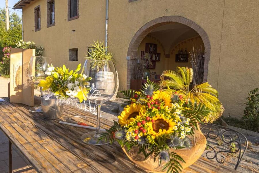 Florence: The secret of wine, cheese and olive oil at a farm - Cheese room flight: pecorino, provola, and the joy of comparison