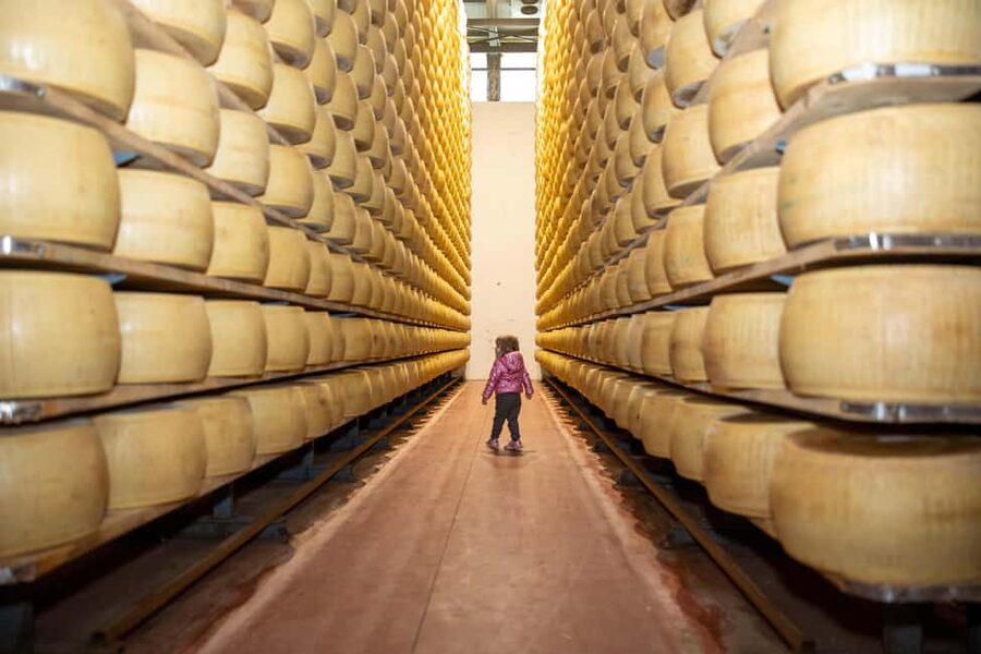 Formigine: Parmesan cheese tour with full tasting - Key highlights you should know
