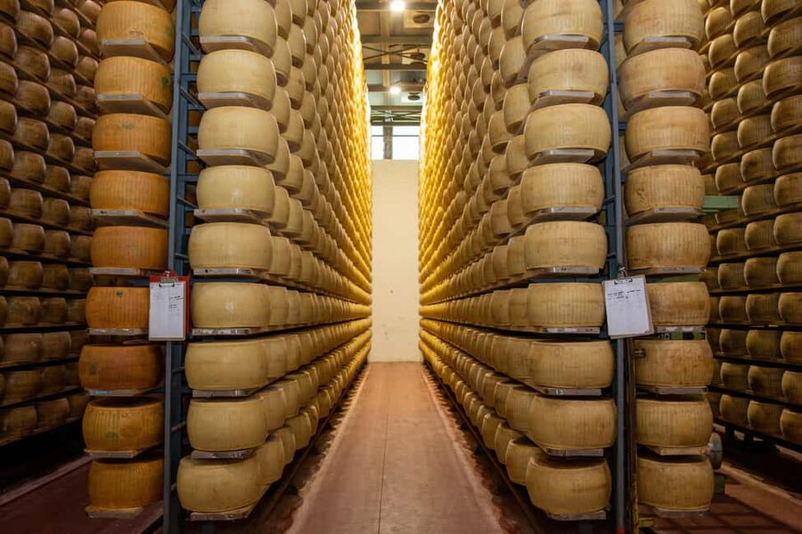 Formigine: Parmesan cheese tour with full tasting - Step-by-step cheese making: curds, wheels, and why timing matters