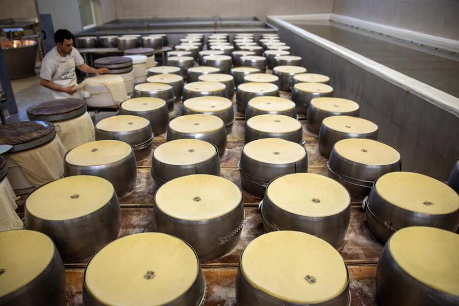 Formigine: Parmesan cheese tour with full tasting - Where the tour delivers real value for $39.86