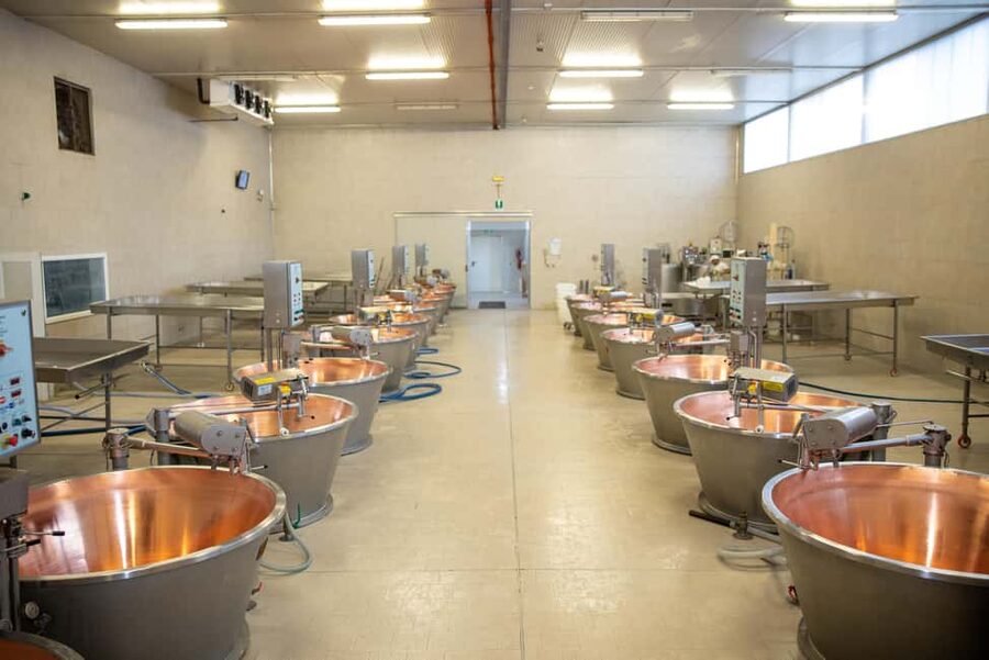 Formigine: Parmesan cheese tour with full tasting - Arriving at Azienda Agricola Moscattini: warm welcome, then straight to the good stuff
