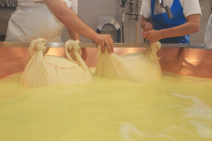 From Bologna: Parma Cheese & Ham Factory Tours and Tastings - A Seven-Hour Parma Food Day From Bologna (and Why It Works)